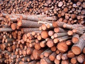 photographie d'un stock de bois brut